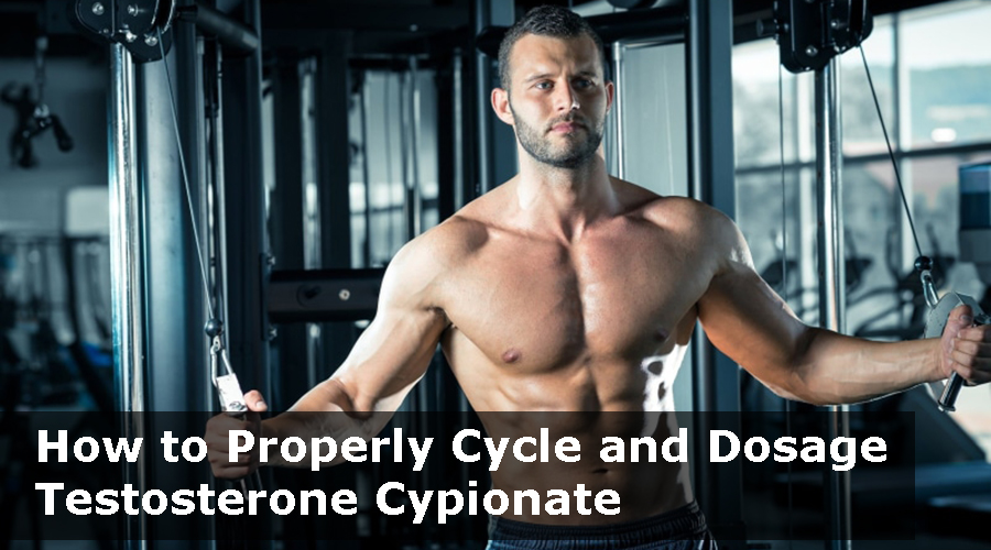 testosterone cypionate 300 mg for sale